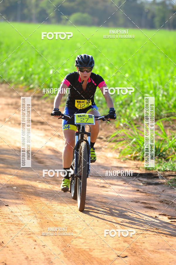 Buy your photos of the eventWolf Series - Botucatu on Fotop