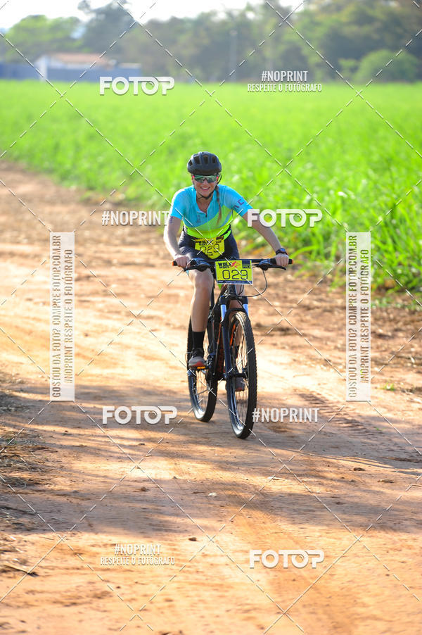 Buy your photos of the eventWolf Series - Botucatu on Fotop