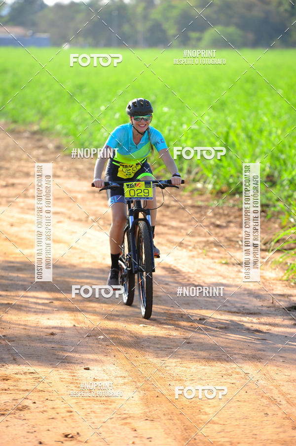 Buy your photos of the eventWolf Series - Botucatu on Fotop
