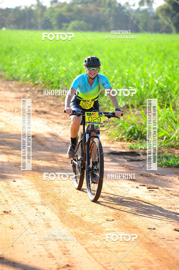Buy your photos of the eventWolf Series - Botucatu on Fotop