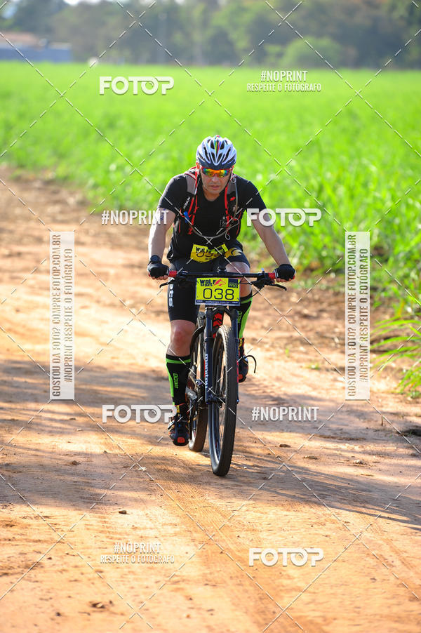 Buy your photos of the eventWolf Series - Botucatu on Fotop