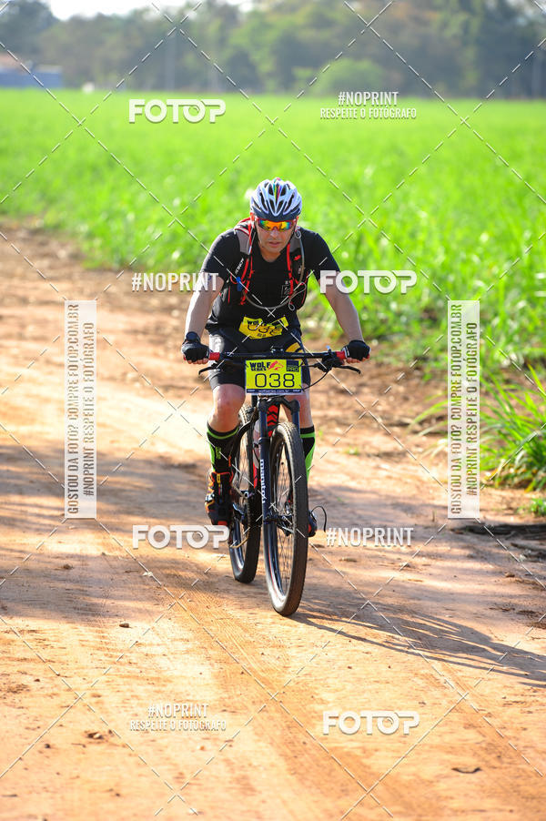 Buy your photos of the eventWolf Series - Botucatu on Fotop