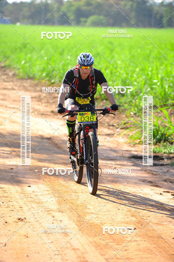 Buy your photos of the eventWolf Series - Botucatu on Fotop
