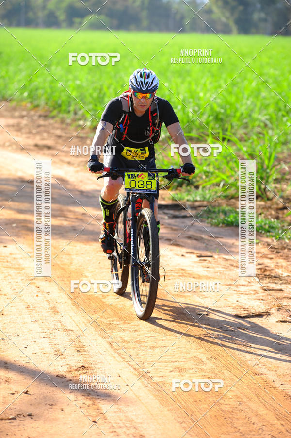 Buy your photos of the eventWolf Series - Botucatu on Fotop