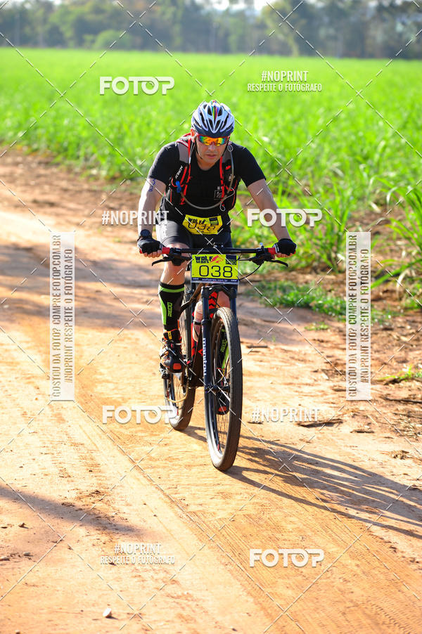 Buy your photos of the eventWolf Series - Botucatu on Fotop