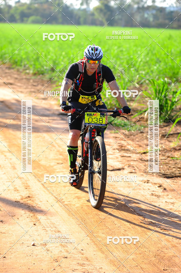 Buy your photos of the eventWolf Series - Botucatu on Fotop