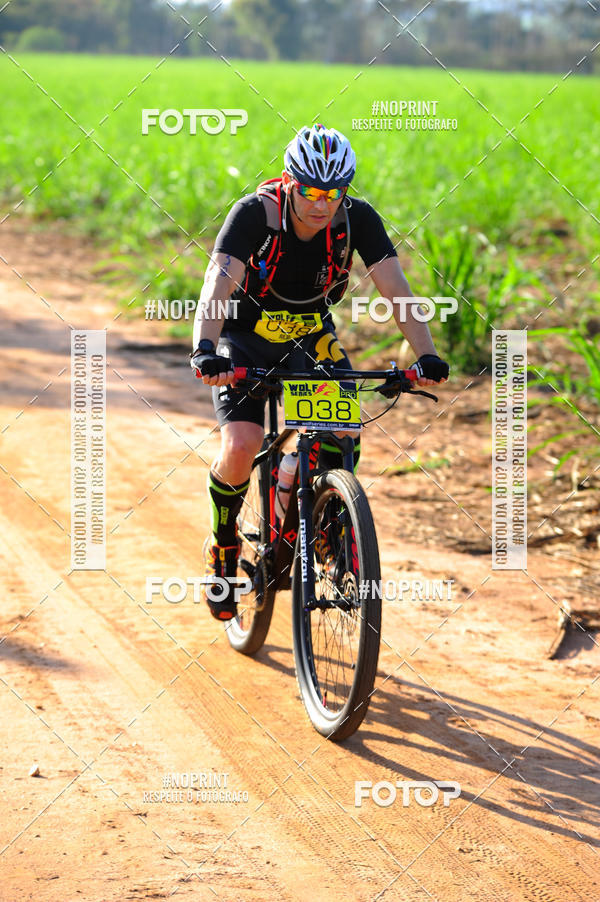 Buy your photos of the eventWolf Series - Botucatu on Fotop