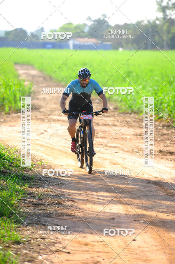 Buy your photos of the eventWolf Series - Botucatu on Fotop