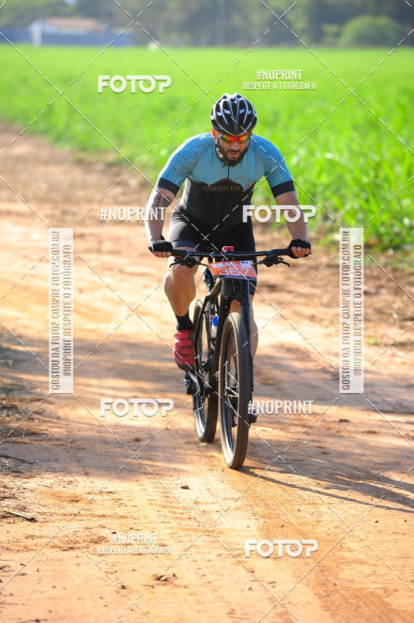 Buy your photos of the eventWolf Series - Botucatu on Fotop