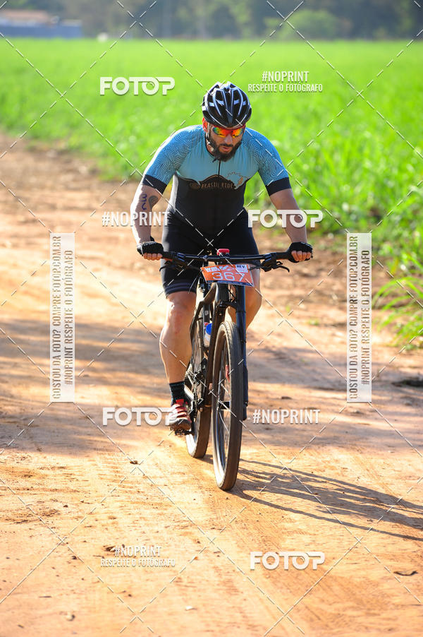Buy your photos of the eventWolf Series - Botucatu on Fotop
