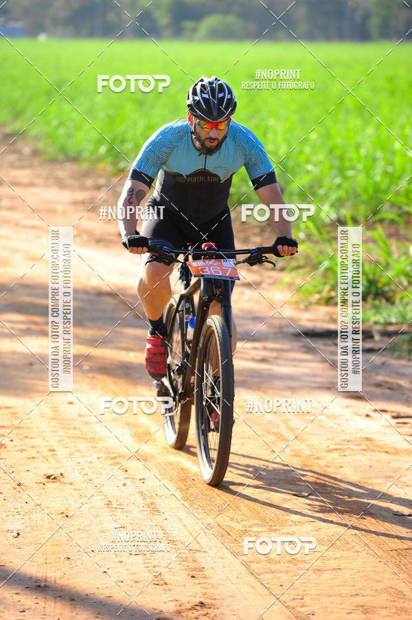 Buy your photos of the eventWolf Series - Botucatu on Fotop