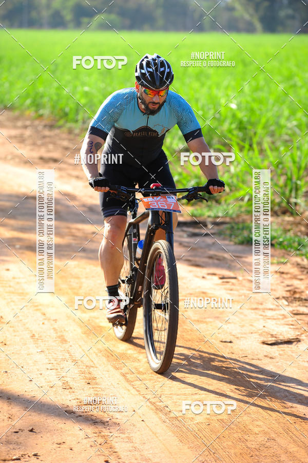 Buy your photos of the eventWolf Series - Botucatu on Fotop