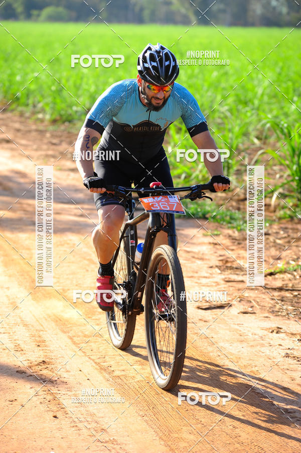 Buy your photos of the eventWolf Series - Botucatu on Fotop
