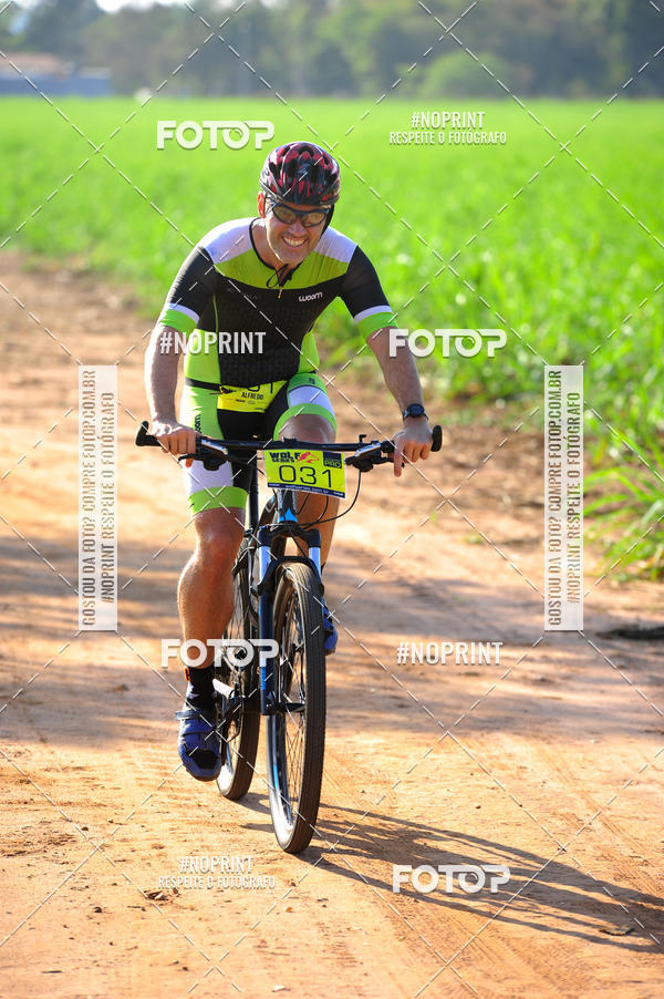 Buy your photos of the eventWolf Series - Botucatu on Fotop