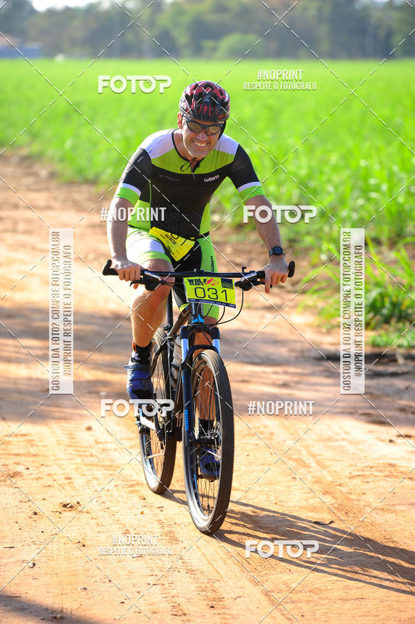 Buy your photos of the eventWolf Series - Botucatu on Fotop