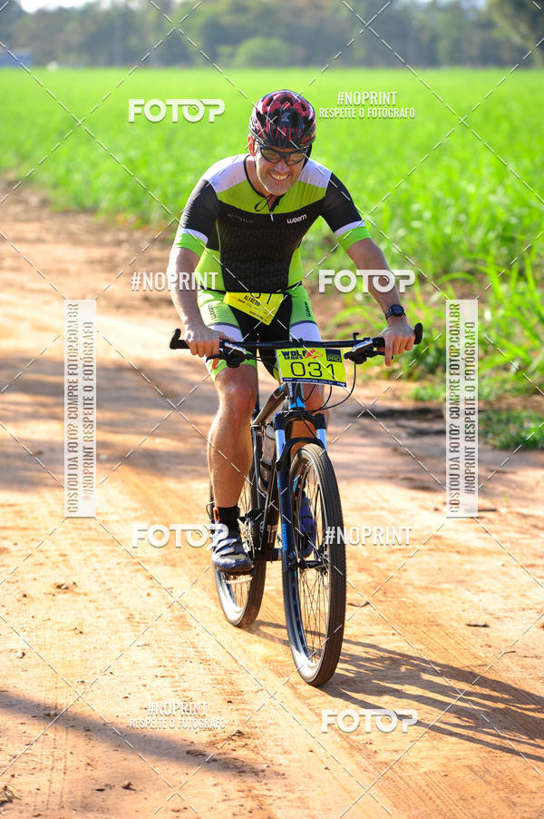 Buy your photos of the eventWolf Series - Botucatu on Fotop