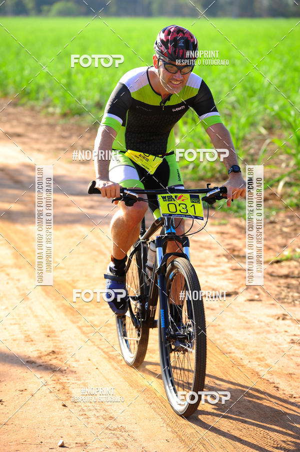 Buy your photos of the eventWolf Series - Botucatu on Fotop