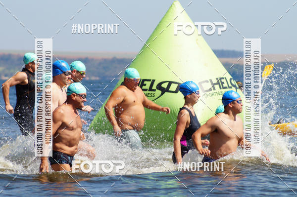 Buy your photos of the eventWolf Series - Botucatu on Fotop