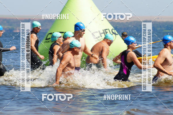 Buy your photos of the eventWolf Series - Botucatu on Fotop