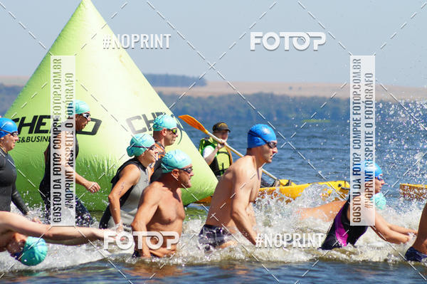 Buy your photos of the eventWolf Series - Botucatu on Fotop