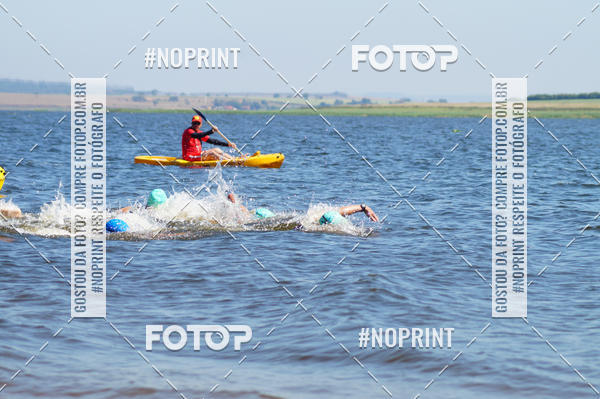 Buy your photos of the eventWolf Series - Botucatu on Fotop