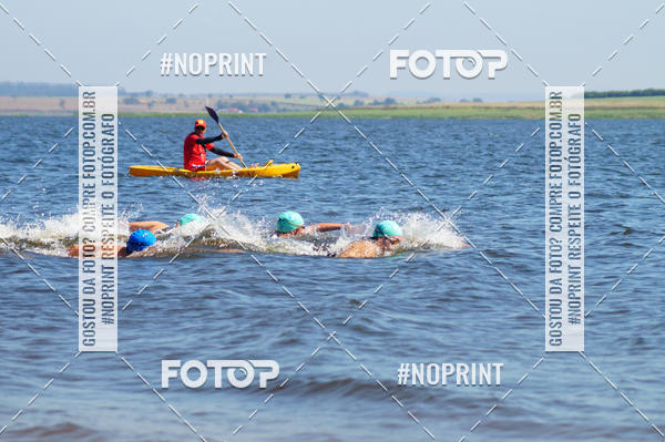 Buy your photos of the eventWolf Series - Botucatu on Fotop