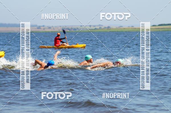 Buy your photos of the eventWolf Series - Botucatu on Fotop