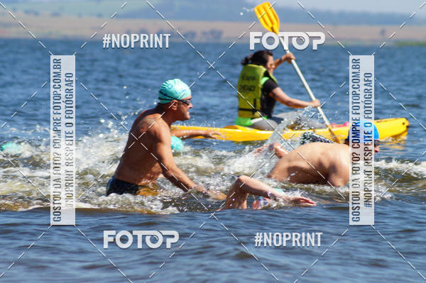 Buy your photos of the eventWolf Series - Botucatu on Fotop