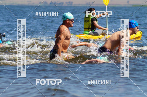 Buy your photos of the eventWolf Series - Botucatu on Fotop