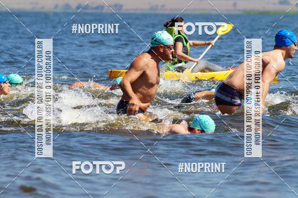 Buy your photos of the eventWolf Series - Botucatu on Fotop