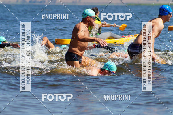 Buy your photos of the eventWolf Series - Botucatu on Fotop