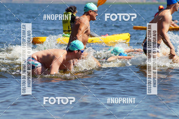 Buy your photos of the eventWolf Series - Botucatu on Fotop