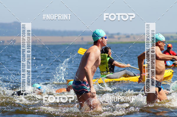 Buy your photos of the eventWolf Series - Botucatu on Fotop