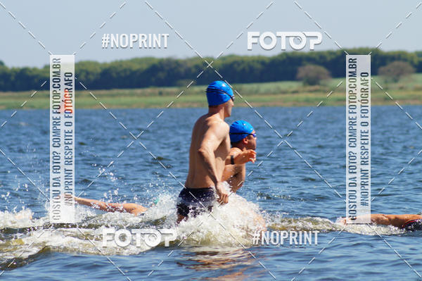 Buy your photos of the eventWolf Series - Botucatu on Fotop