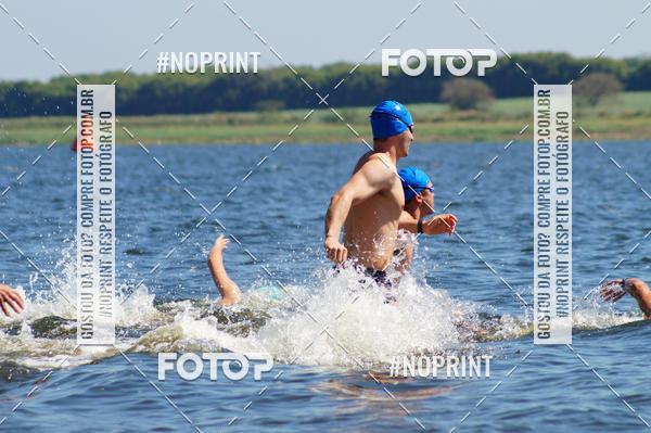 Buy your photos of the eventWolf Series - Botucatu on Fotop