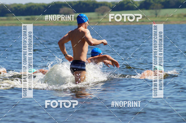 Buy your photos of the eventWolf Series - Botucatu on Fotop