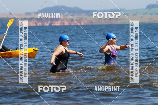 Buy your photos of the eventWolf Series - Botucatu on Fotop