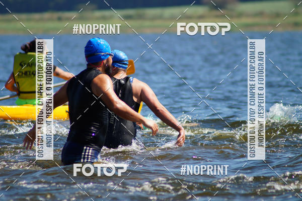 Buy your photos of the eventWolf Series - Botucatu on Fotop