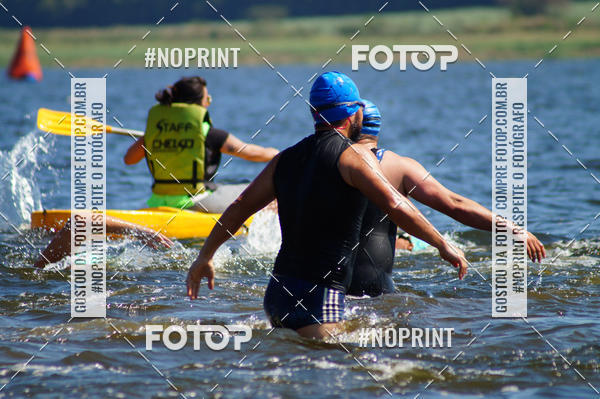 Buy your photos of the eventWolf Series - Botucatu on Fotop