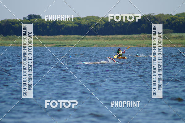 Buy your photos of the eventWolf Series - Botucatu on Fotop