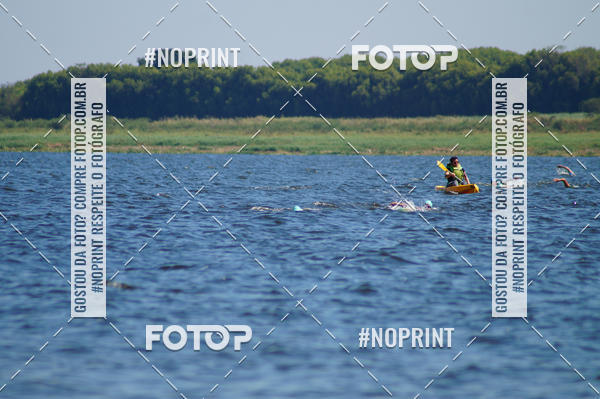 Buy your photos of the eventWolf Series - Botucatu on Fotop