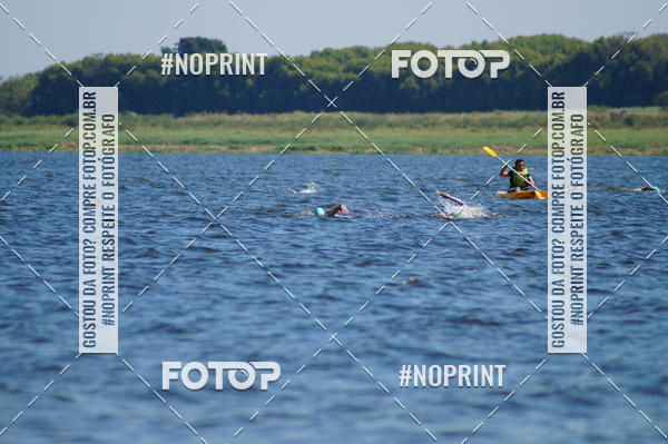 Buy your photos of the eventWolf Series - Botucatu on Fotop