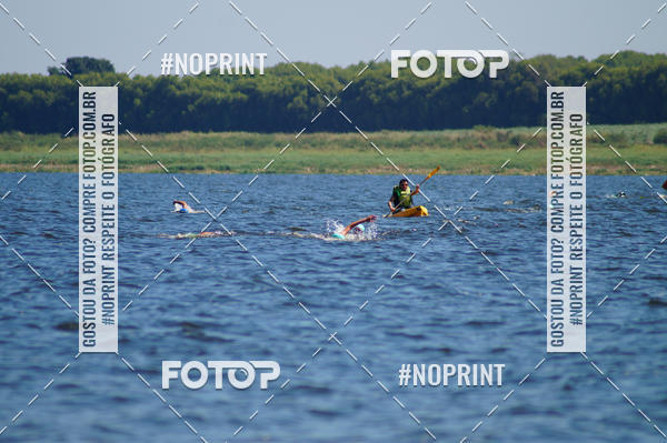 Buy your photos of the eventWolf Series - Botucatu on Fotop