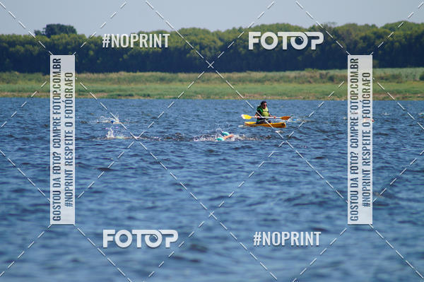 Buy your photos of the eventWolf Series - Botucatu on Fotop