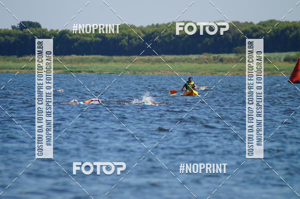 Buy your photos of the eventWolf Series - Botucatu on Fotop