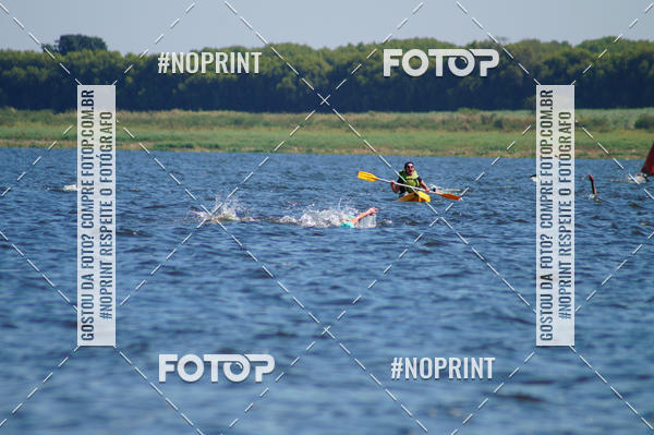 Buy your photos of the eventWolf Series - Botucatu on Fotop