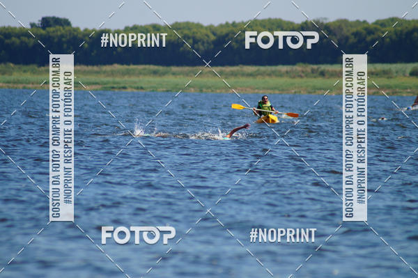 Buy your photos of the eventWolf Series - Botucatu on Fotop