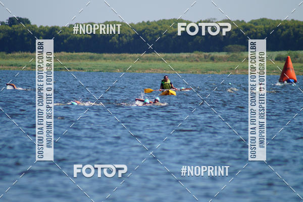 Buy your photos of the eventWolf Series - Botucatu on Fotop