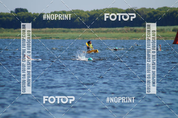 Buy your photos of the eventWolf Series - Botucatu on Fotop