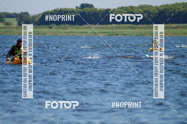 Buy your photos of the eventWolf Series - Botucatu on Fotop